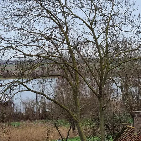 Maaslandje Nocleg ze śniadaniem